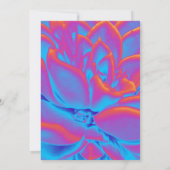 レインボーカラー多肉植物 サンキューカード (裏面)