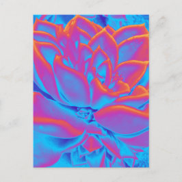 レインボーカラー多肉植物 シーズンポストカード