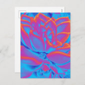 レインボーカラー多肉植物 シーズンポストカード (正面/裏面)