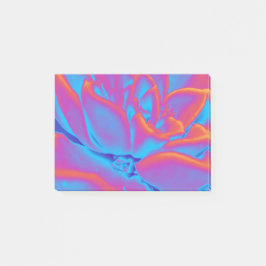 レインボーカラー多肉植物 ポストイット