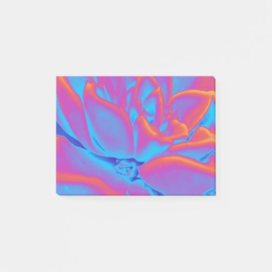 レインボーカラー多肉植物 ポストイット (正面)