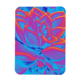 レインボーカラー多肉植物 マグネット