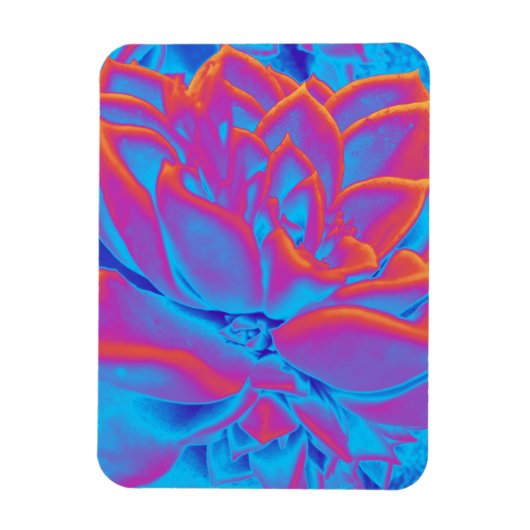 レインボーカラー多肉植物 マグネット (縦)