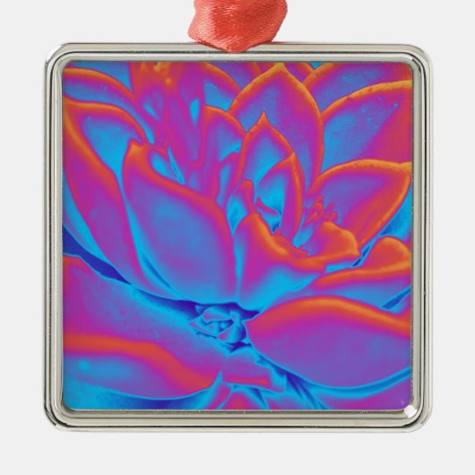 レインボーカラー多肉植物 メタルオーナメント (正面)