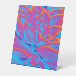 レインボーカラー多肉植物 台座サイン