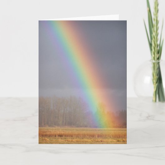 レインボーカード1 カード (正面)