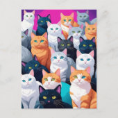 レインボーキャッツ、ポストクロッシング ポストカード (正面)