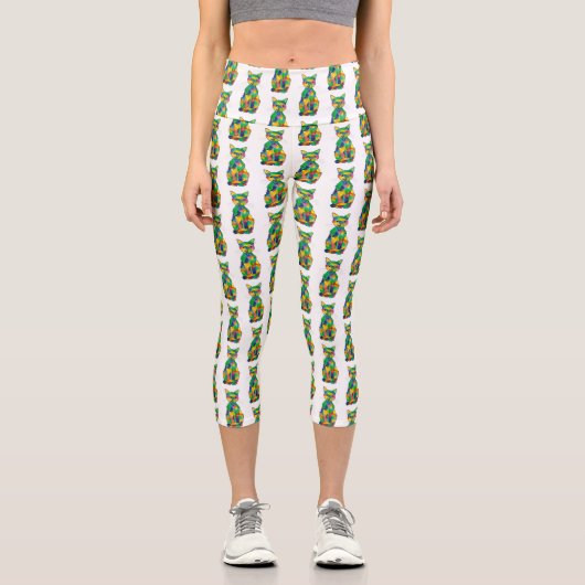 レインボーキャットカプリス カプリレギンス (正面)