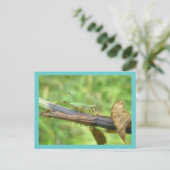 レインボーグラスパーハガキ ポストカード (スタンド正面)