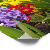 レインボーコレクション ポスター (角)