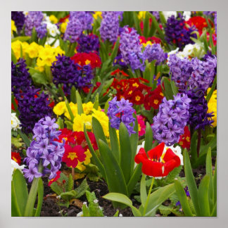 レインボーコレクション ポスター