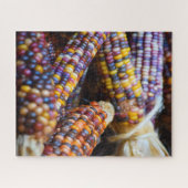 レインボーコーンコブズカラー秋- 16x20 - 520個 ジグソーパズル (横)