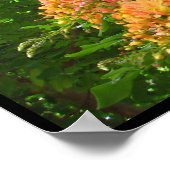 レインボーシャワーツリーハワイポスタープリント ポスター (角)