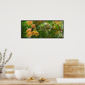 レインボーシャワーツリーハワイポスタープリント ポスター (キッチン)