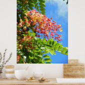 レインボーシャワーツリー ポスター (キッチン)