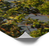 レインボースカイプリント ポスター (角)