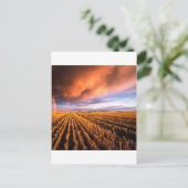 レインボースタッブルフィールドサスカチュワンカナダ ポストカード (スタンド正面)