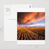 レインボースタッブルフィールドサスカチュワンカナダ ポストカード (正面/裏面)