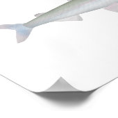 レインボースメルト ポスター (角)