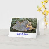 レインボースワン カード (黄色い花)