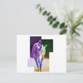 レインボーゼブラ ポストカード (スタンド正面)