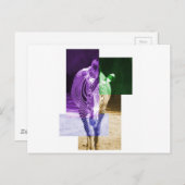 レインボーゼブラ ポストカード (正面/裏面)