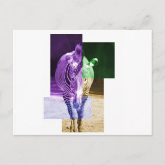 レインボーゼブラ ポストカード