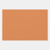 レインボーゾウ模様ラッピング紙シート ラッピングペーパーシート (正面3)