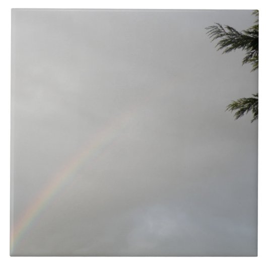 レインボータイル タイル (正面)