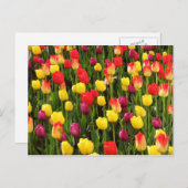 レインボータペストリー ポストカード (正面/裏面)