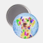 レインボーダルマチア マグネット (正面/裏面)