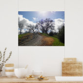 レインボーツリーシーニックハイキング自然写真 ポスター (キッチン)