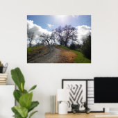 レインボーツリーシーニックハイキング自然写真 ポスター (ホームオフィス)