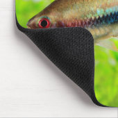 レインボーテトラ マウスパッド (コーナー)