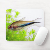 レインボーテトラ マウスパッド (マウス)