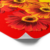 レインボーデイジー ポスター (角)