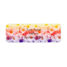 レインボーデイジー