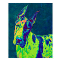 レインボーデン