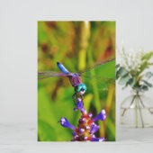 レインボートンボと花 便箋 (スタンド正面)