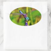 レインボートンボと花 楕円形シール (バッグ)