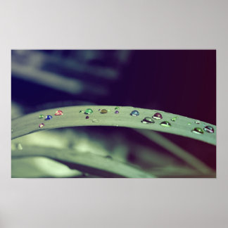 レインボードロップポスター/フレームプリント ポスター