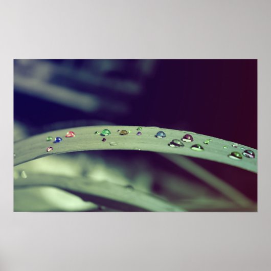 レインボードロップポスター/フレームプリント ポスター (正面)