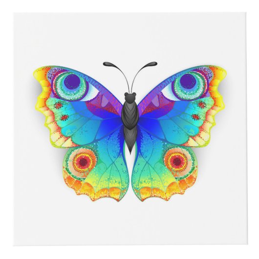 レインボーバタフライピーコックアイ フォトキューブ (正面)