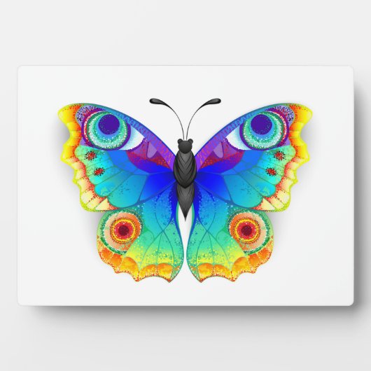 レインボーバタフライピーコックアイ フォトプラーク (正面)