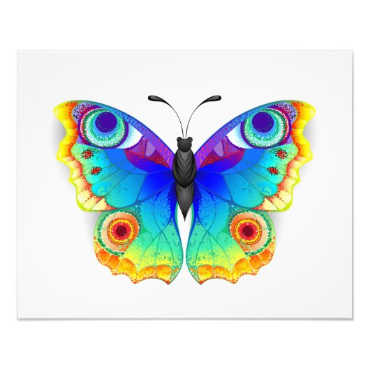 レインボーバタフライピーコックアイ フォトプリント            (正面)