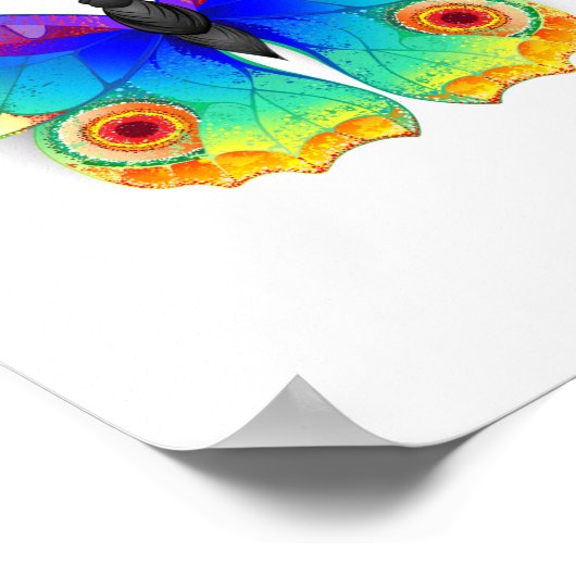 レインボーバタフライピーコックアイ ポスター (角)