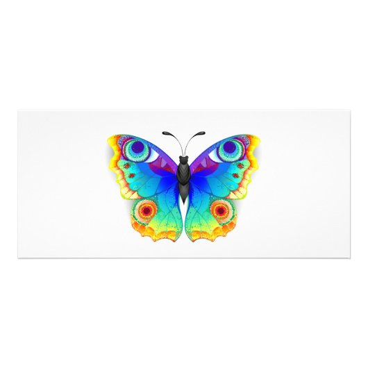 レインボーバタフライピーコックアイ ラックカード (正面)