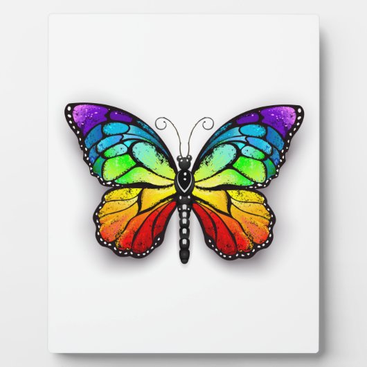 レインボーバタフライ（昆虫）オオカバマダラ、モナーク フォトプラーク (正面)