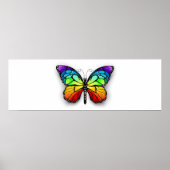 レインボーバタフライ(昆虫)オオカバマダラ、モナーク ポスター (正面)