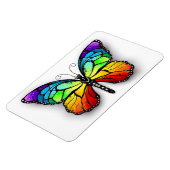 レインボーバタフライ(昆虫)オオカバマダラ、モナーク マグネット (左側)